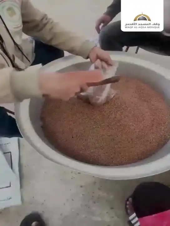 مشروع زكاة الفطر في قطاع غزة