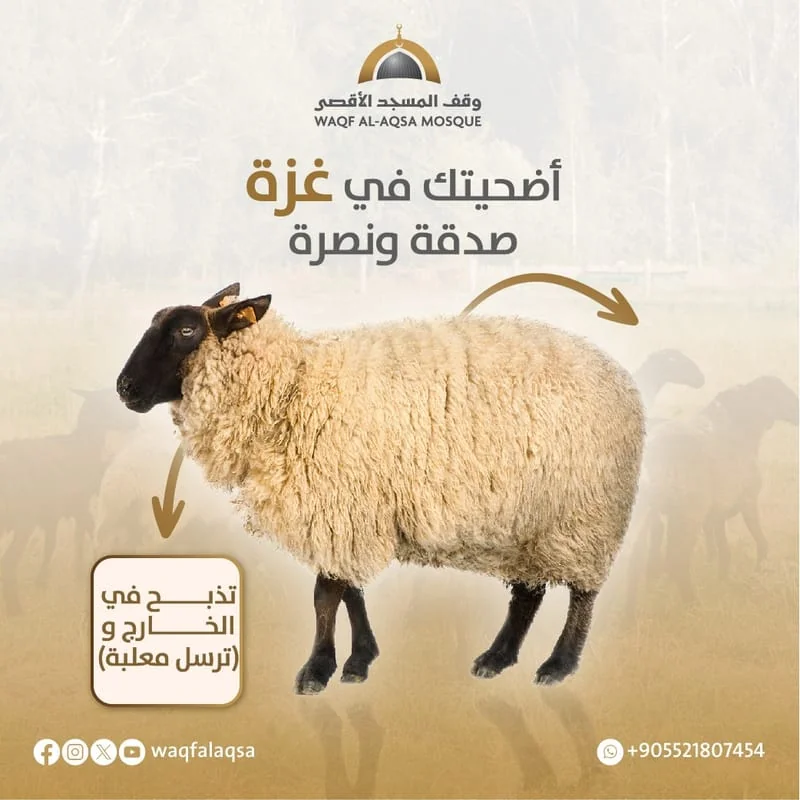 مشروع الأضاحي