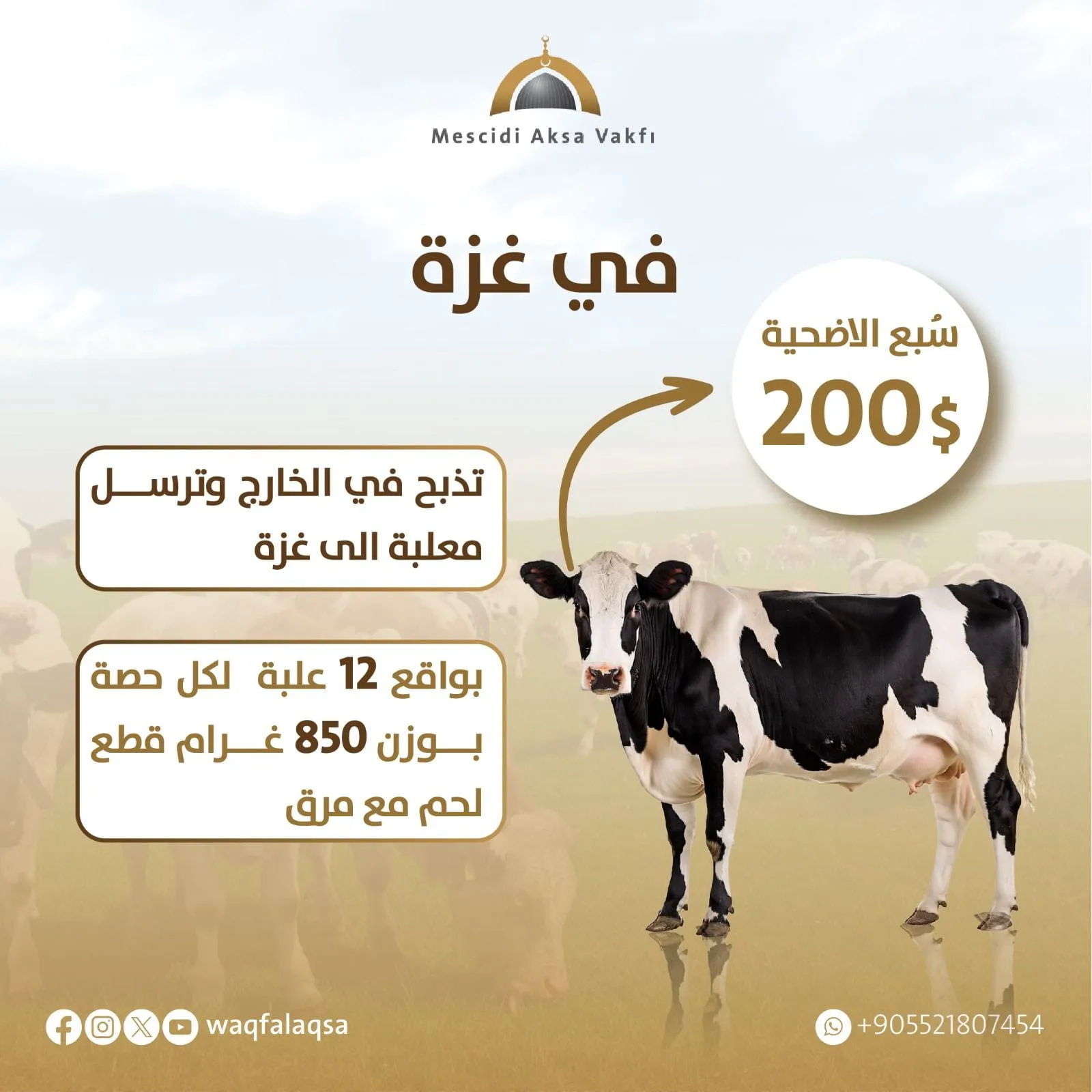 الأضحية في غزة