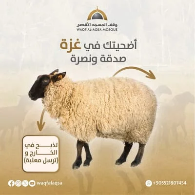 مشروع الأضاحي