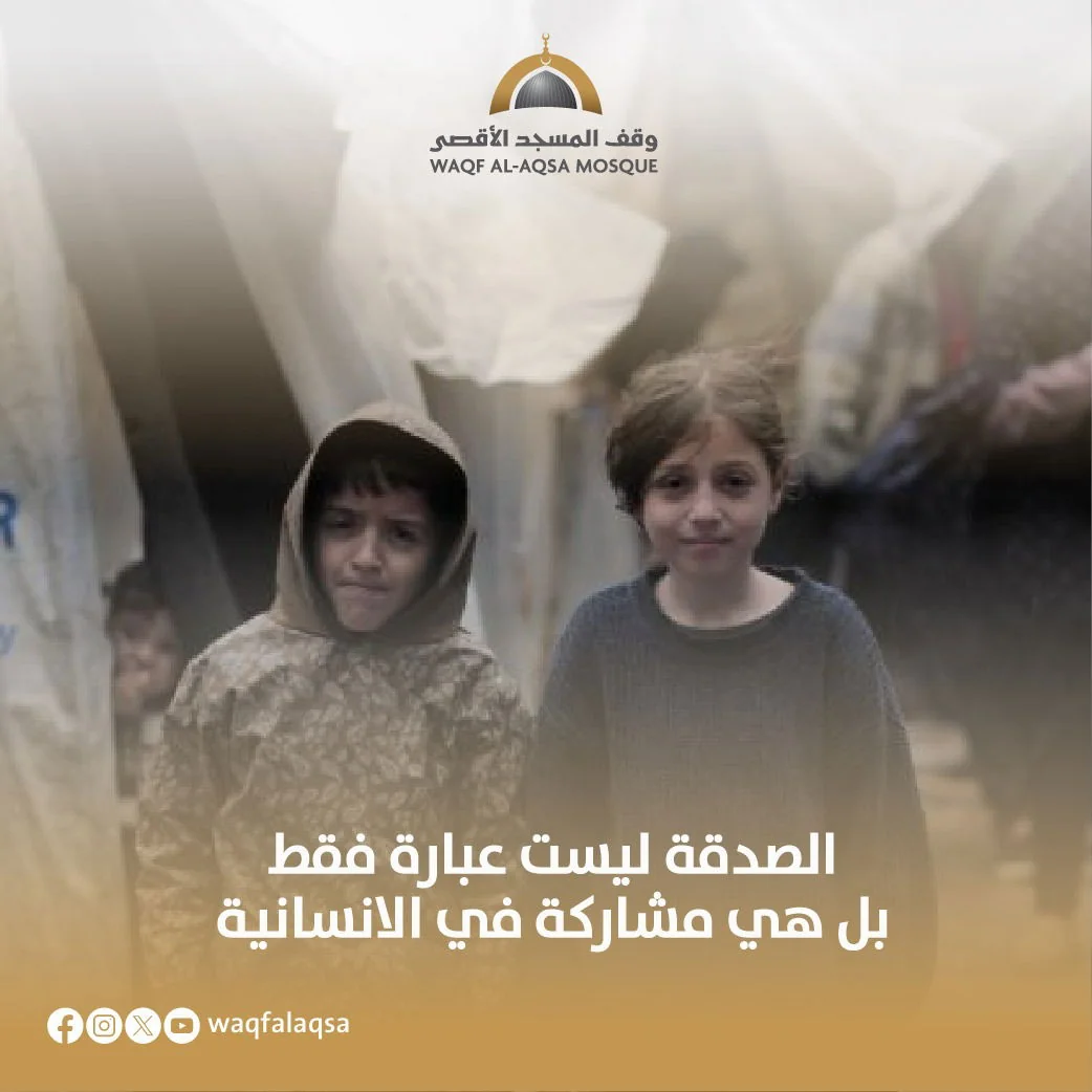 صورة حملة الشتاء - preview