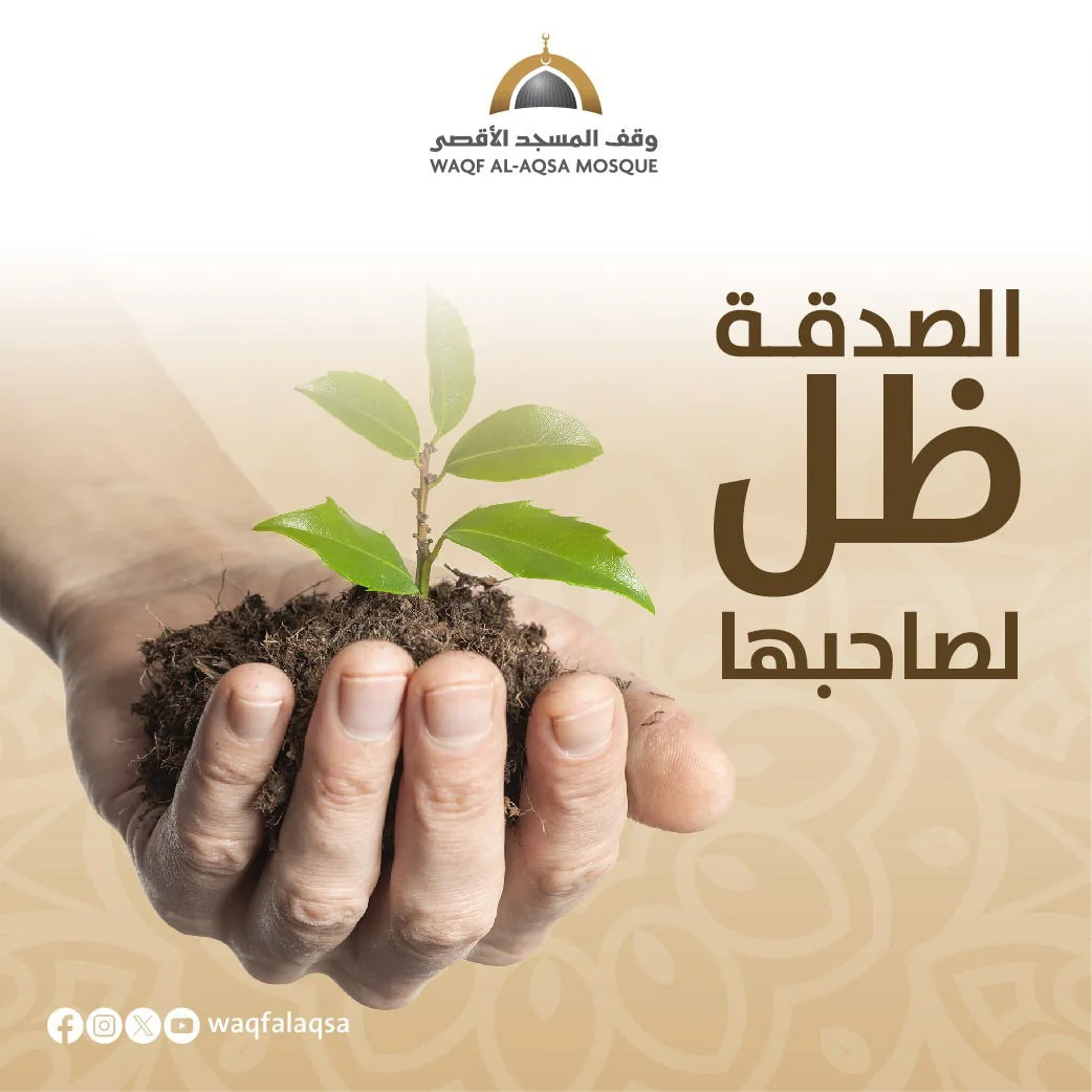 صورة حملة الشتاء - preview