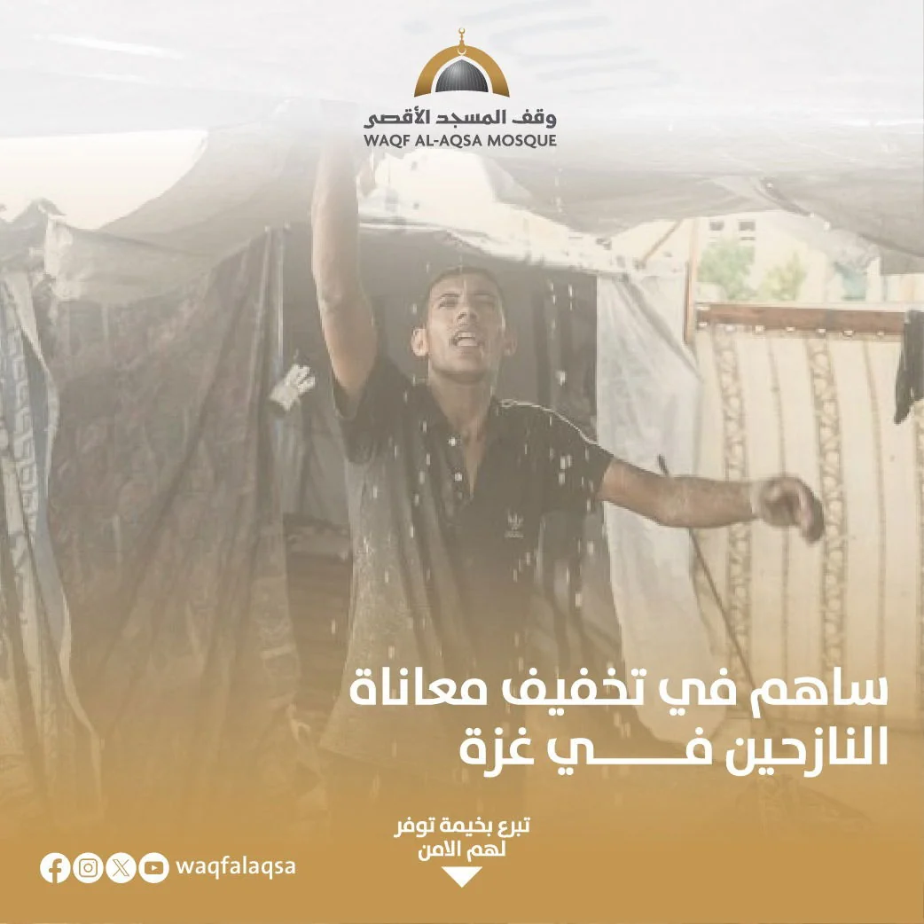 صورة حملة الشتاء - preview