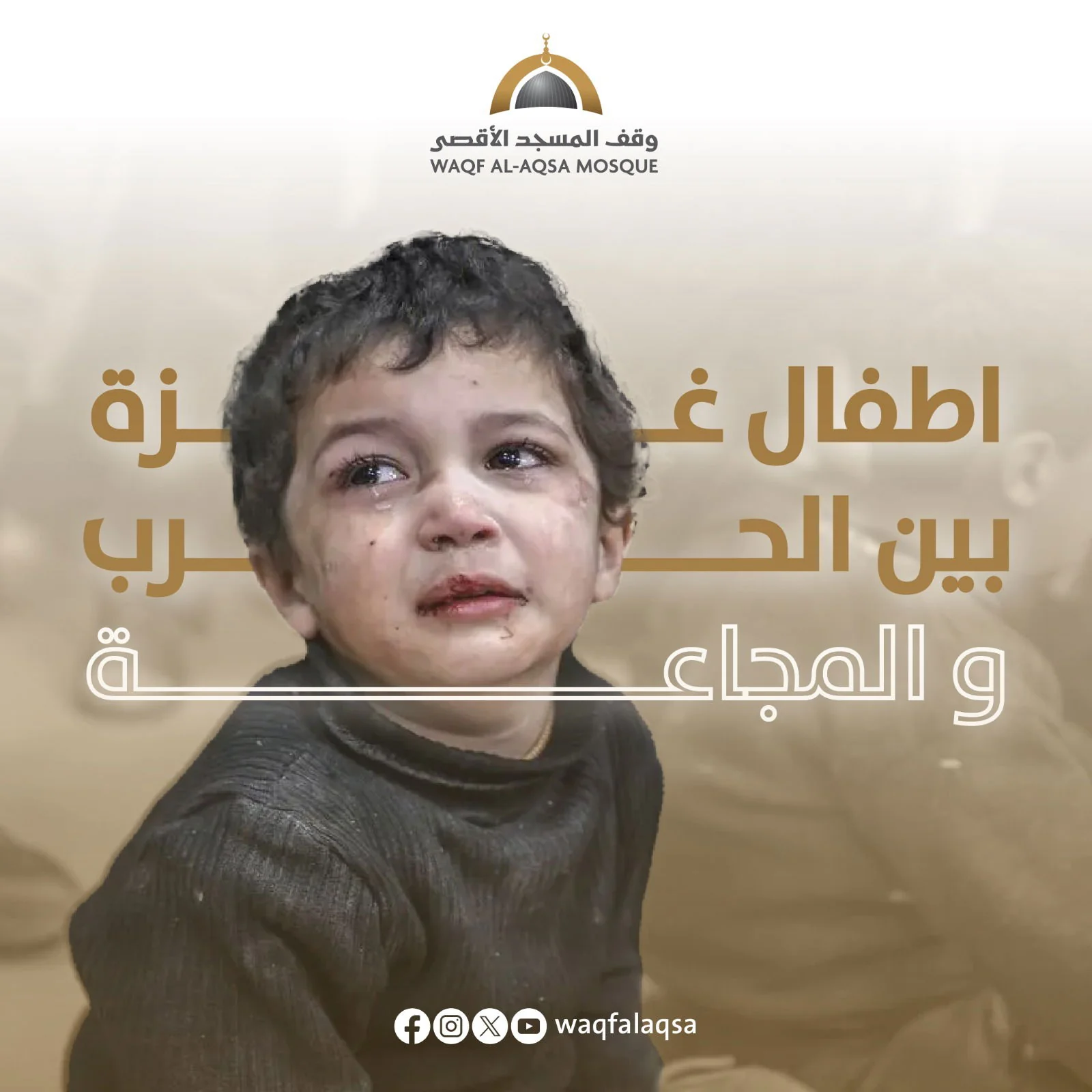 صورة حملة الشتاء - preview