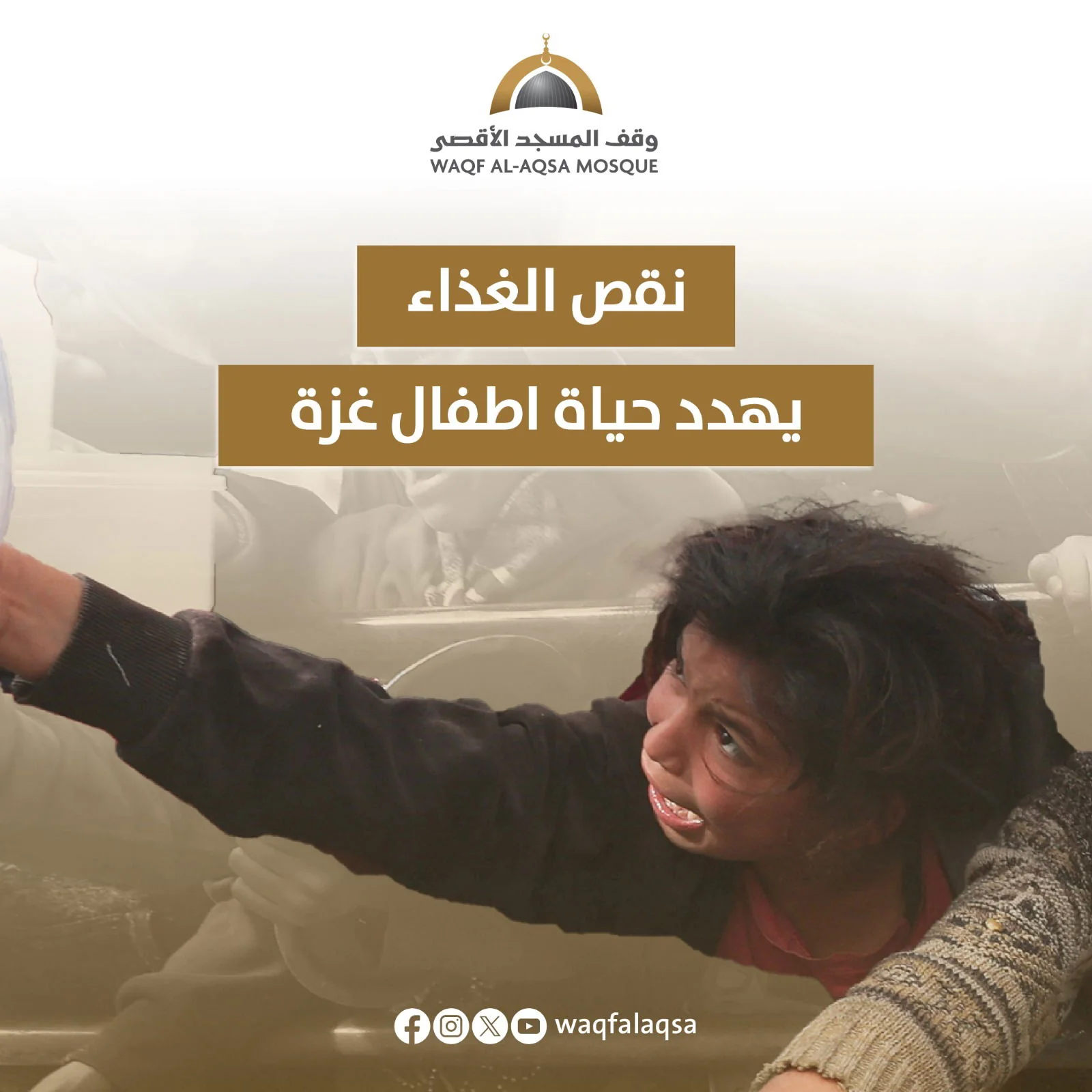 صورة حملة الشتاء - preview